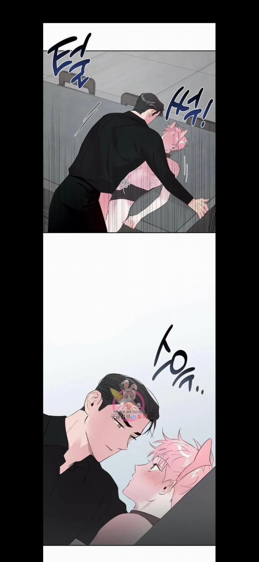 Assorted Wildness 25 trang 5