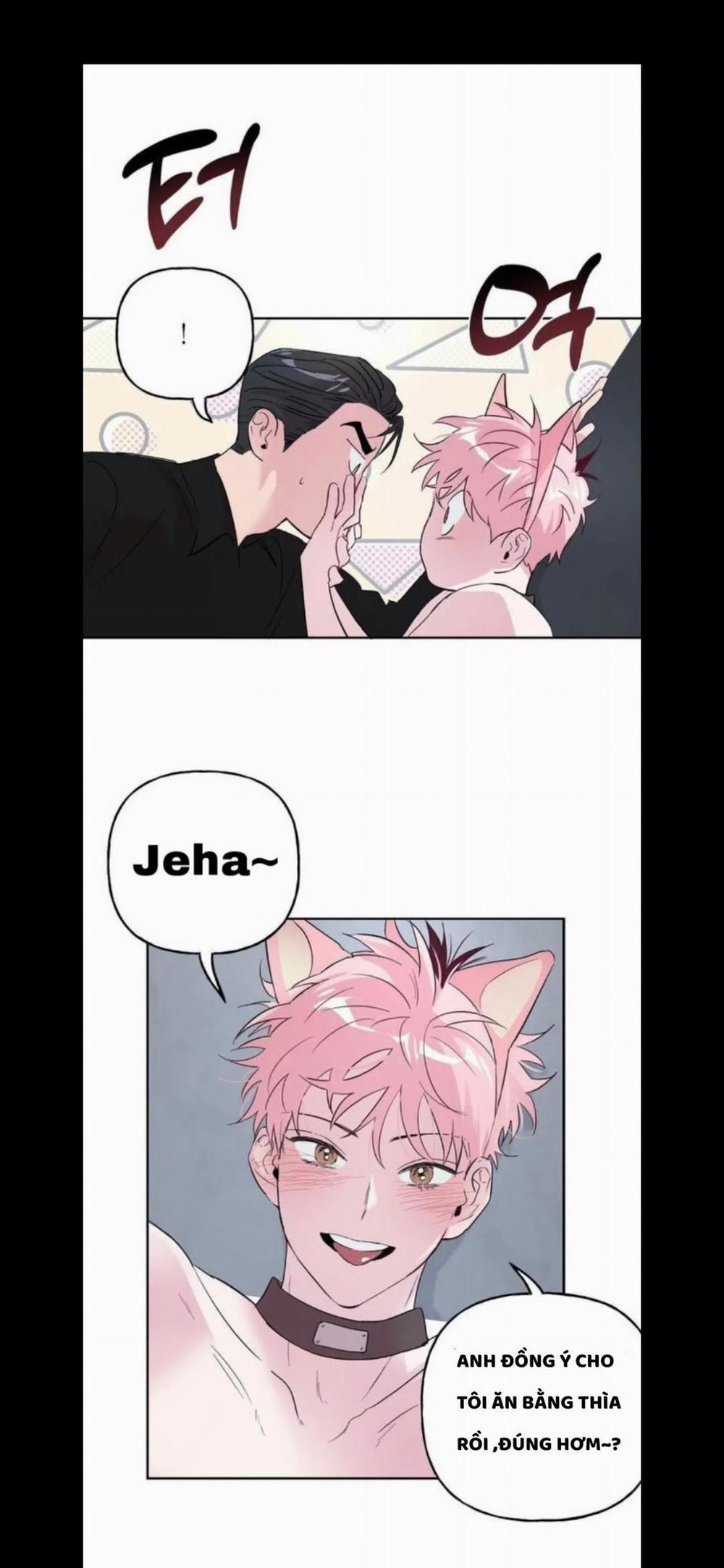 Assorted Wildness 25 trang 6