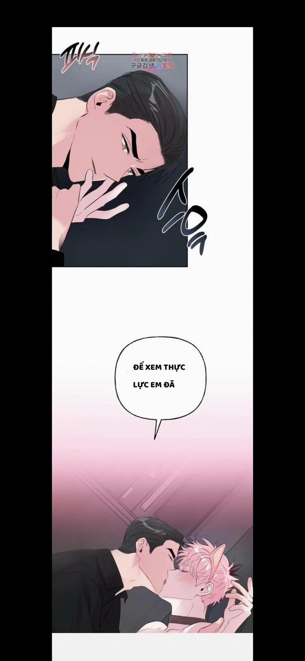 Assorted Wildness 25 trang 7