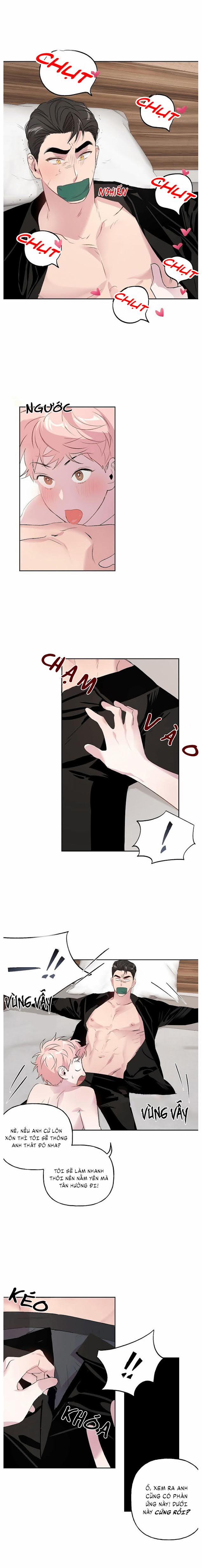 Assorted Wildness 6 trang 2