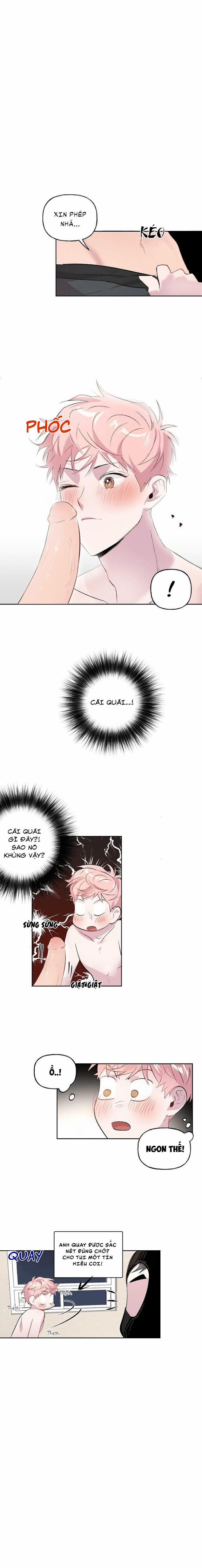 Assorted Wildness 6 trang 3