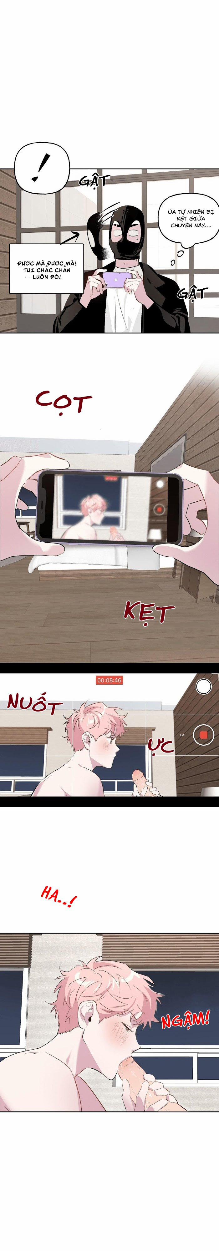 Assorted Wildness 6 trang 4