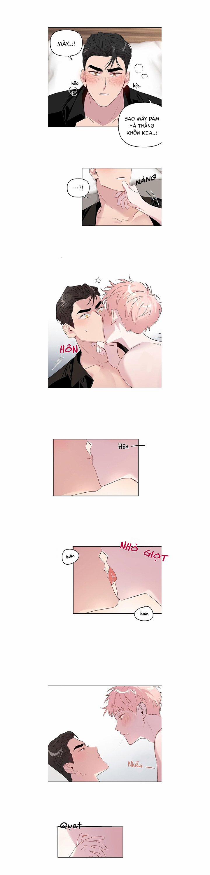 Assorted Wildness 6 trang 8