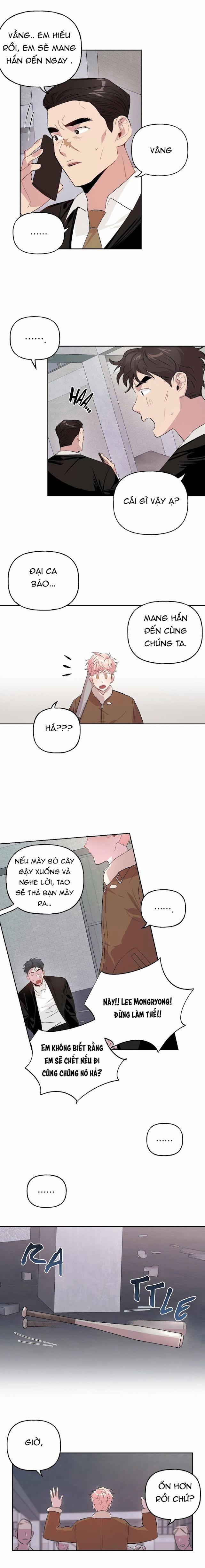 Assorted Wildness 7 trang 8