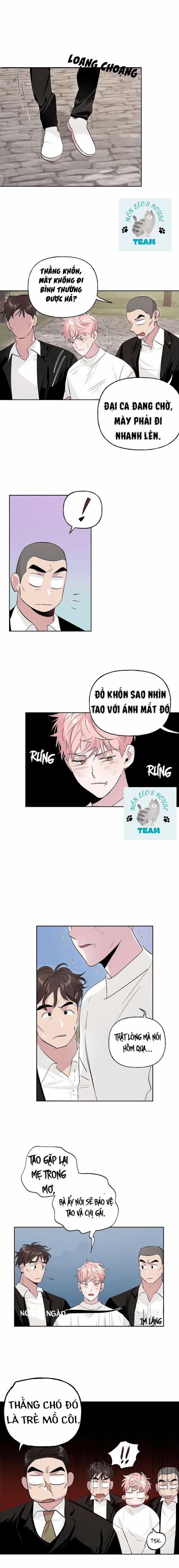 Assorted Wildness 8 trang 2