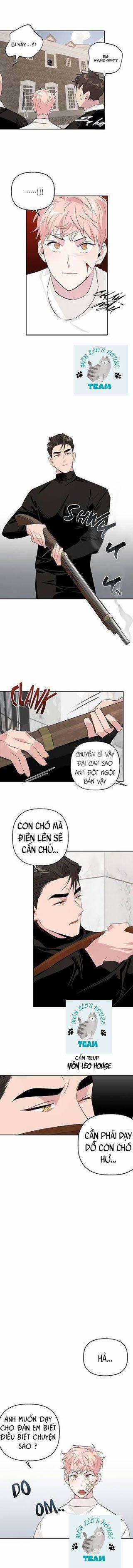 Assorted Wildness 8 trang 4