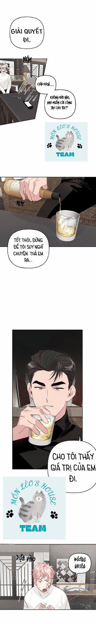 Assorted Wildness 8 trang 6