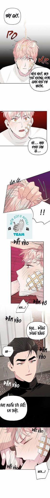 Assorted Wildness 8 trang 8