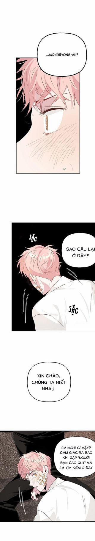 Assorted Wildness 8 trang 9