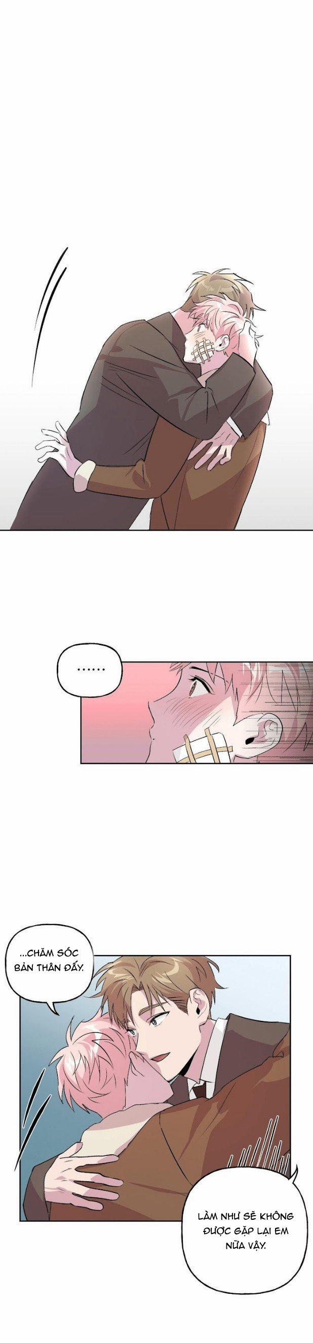 Assorted Wildness 9 trang 11