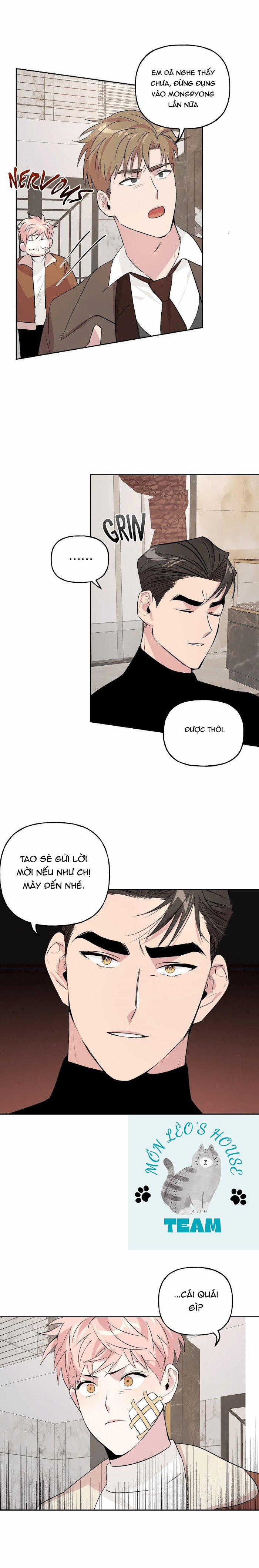 Assorted Wildness 9 trang 6