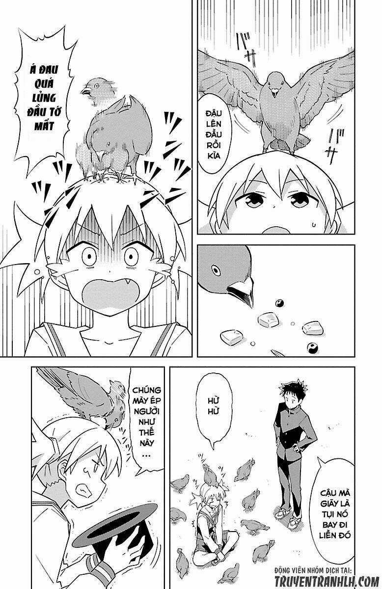 Atsumare! Fushigi Kenkyuubu 6 trang 5