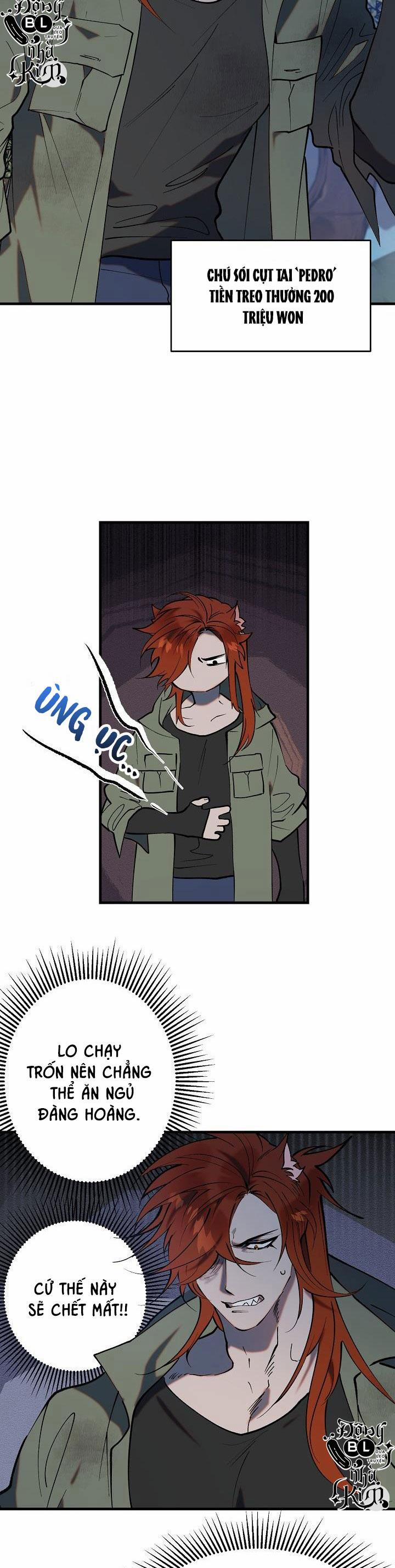 Ba Anh Em Heo Con 1 trang 7