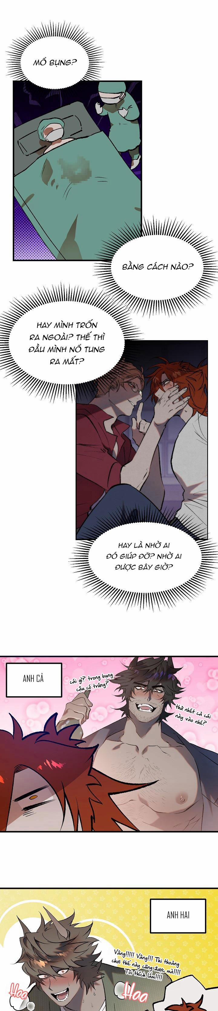 BA CHÚ HEO CON 10 trang 12