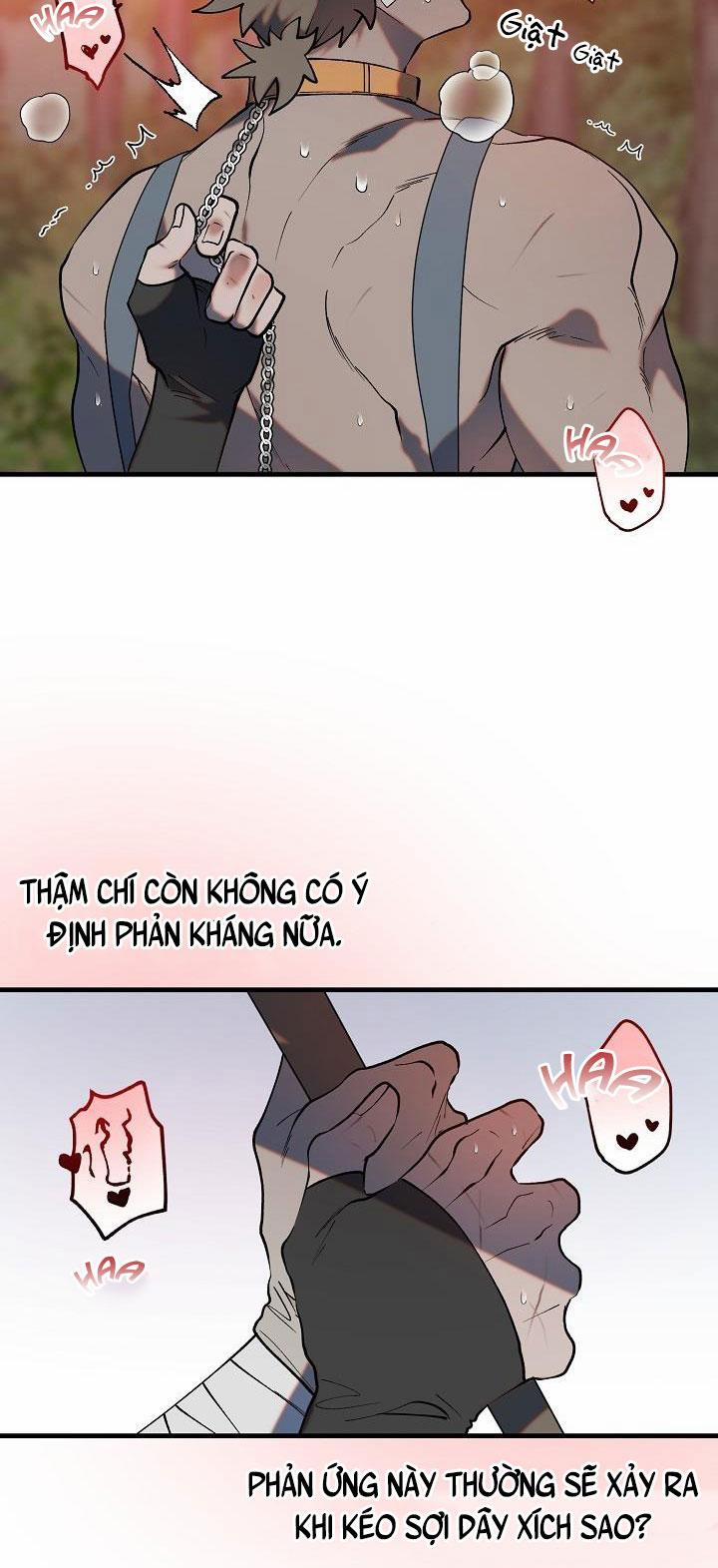 BA CHÚ HEO CON 3 trang 25