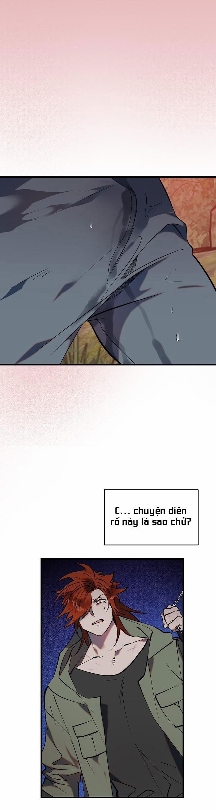 BA CHÚ HEO CON 4 trang 0