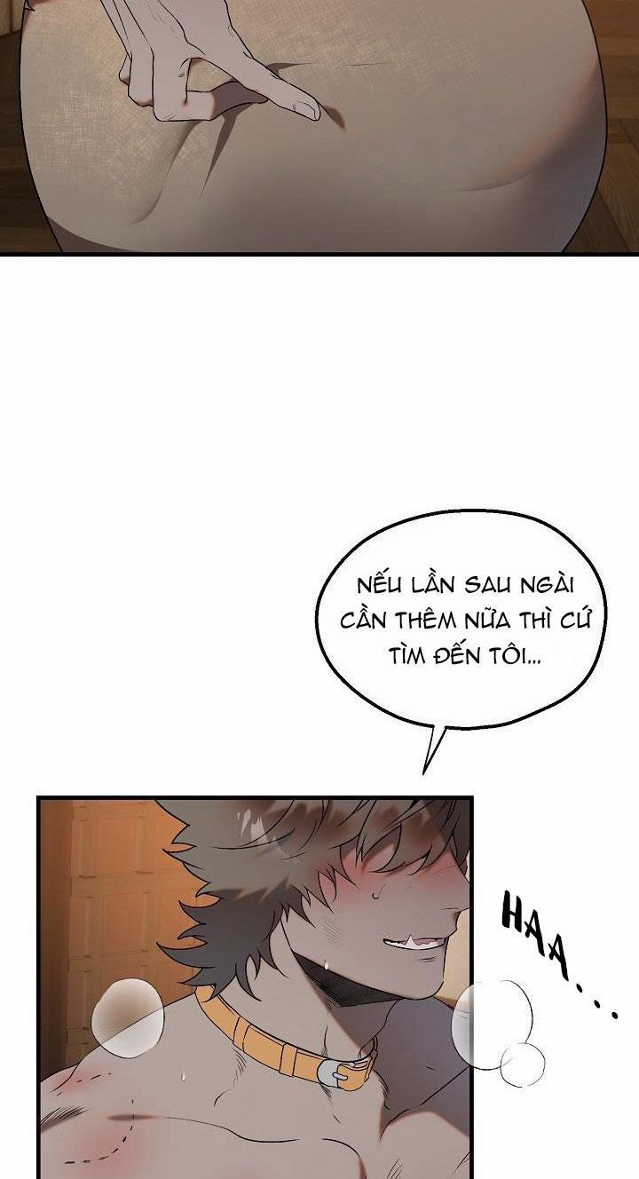 BA CHÚ HEO CON 5 trang 1