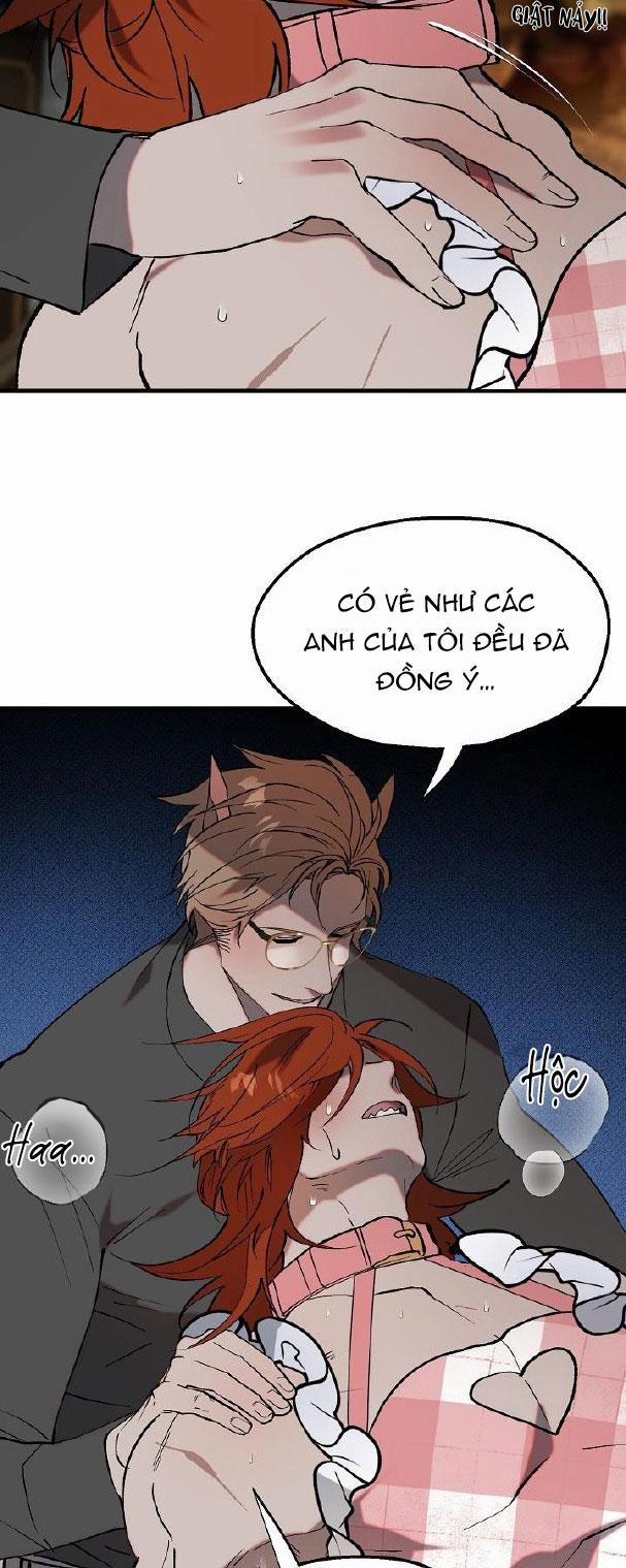 BA CHÚ HEO CON 7 trang 22