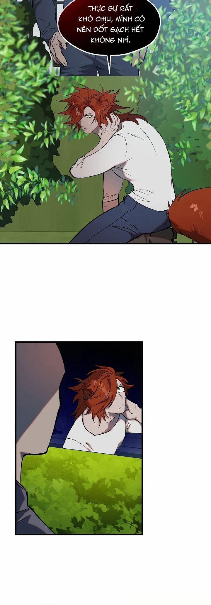 BA CHÚ HEO CON 8 trang 14