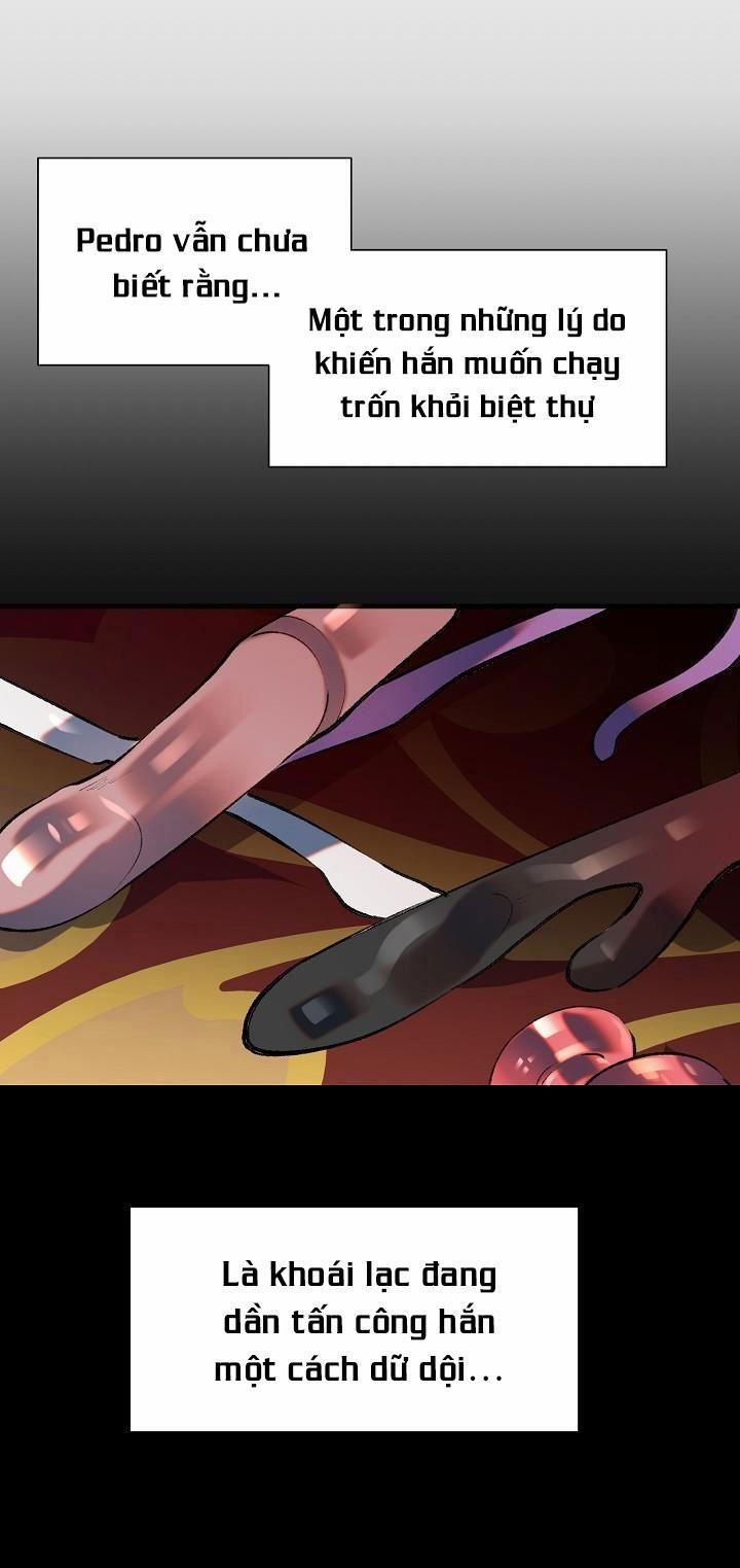 BA CHÚ HEO CON 8 trang 25