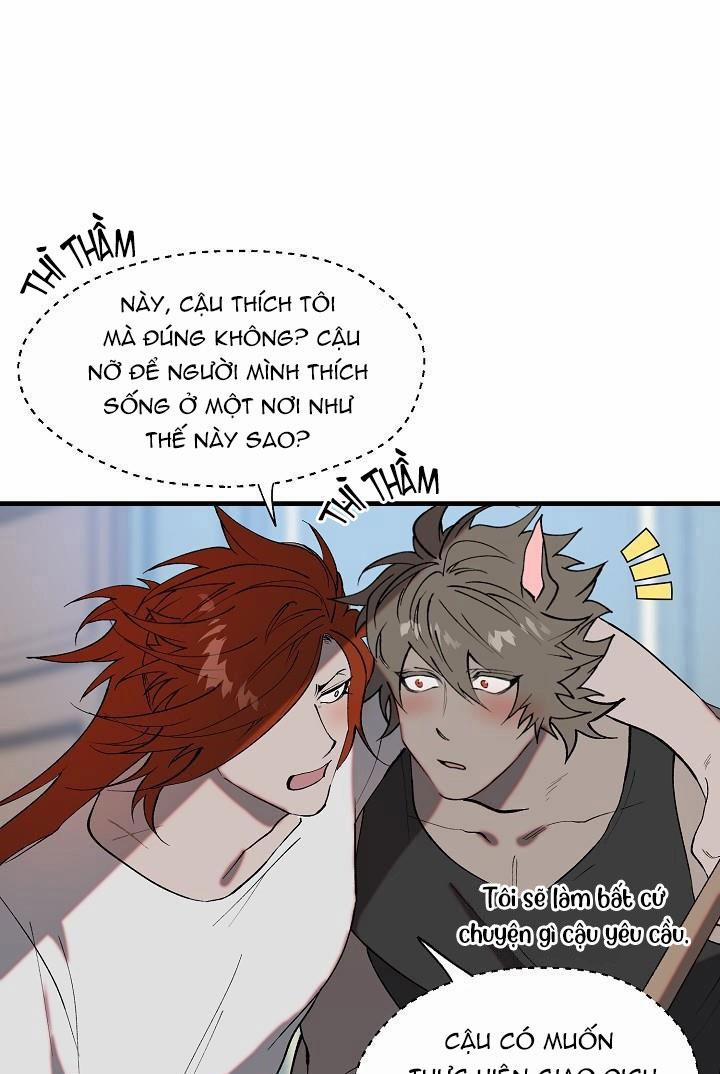 BA CHÚ HEO CON 8 trang 5