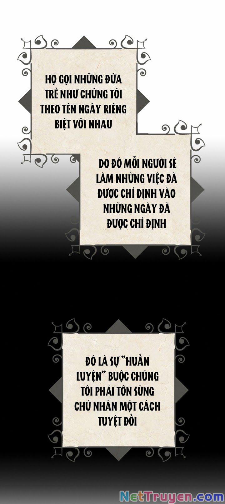 Ba Người Anh Trai Của Tôi Là Bạo Quân 1 trang 49