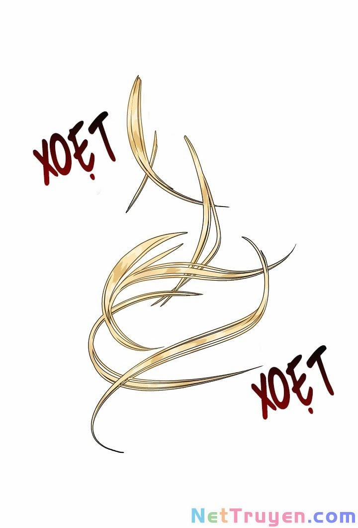 Ba Người Anh Trai Của Tôi Là Bạo Quân 15 trang 8