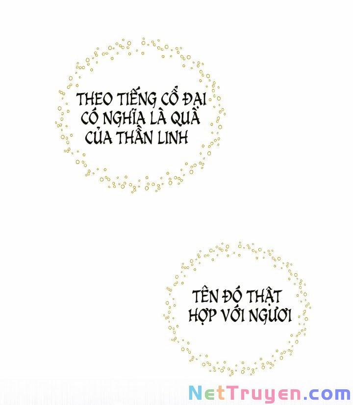 Ba Người Anh Trai Của Tôi Là Bạo Quân 16 trang 11