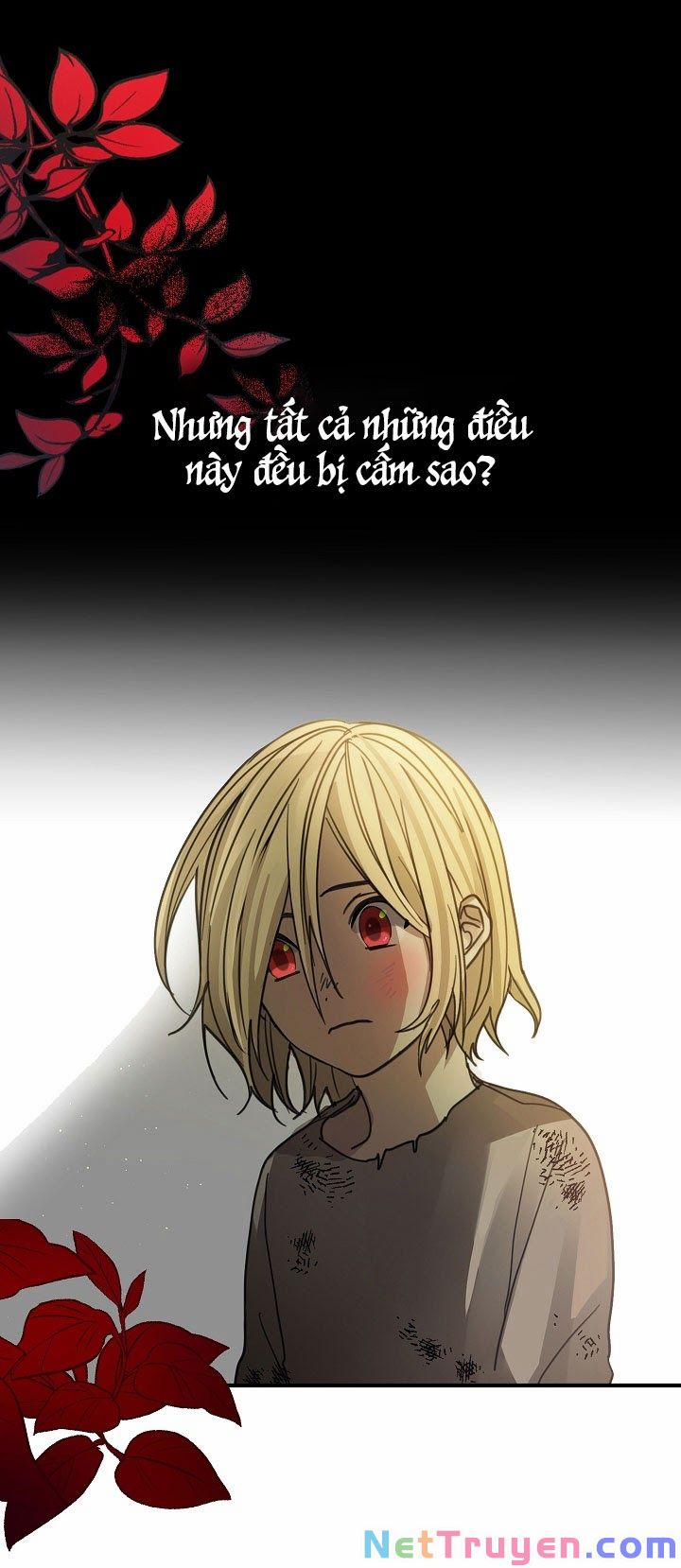 Ba Người Anh Trai Của Tôi Là Bạo Quân 2 trang 27