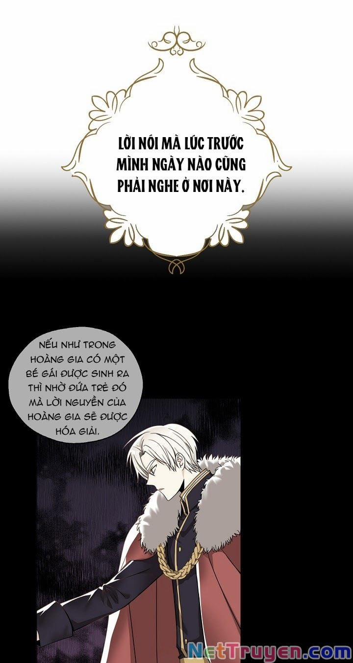 Ba Người Anh Trai Của Tôi Là Bạo Quân 21 trang 24
