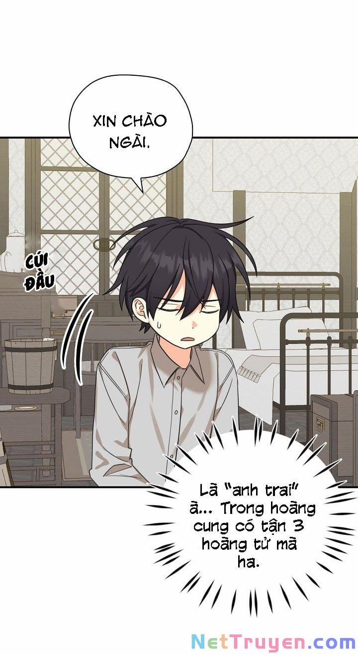 Ba Người Anh Trai Của Tôi Là Bạo Quân 23 trang 24