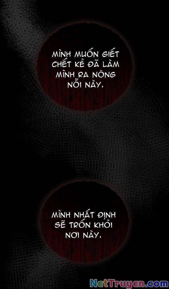 Ba Người Anh Trai Của Tôi Là Bạo Quân 23 trang 5