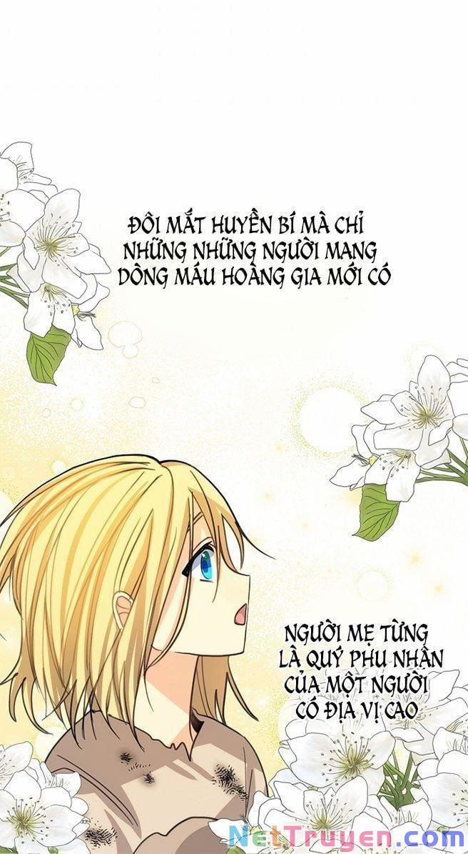 Ba Người Anh Trai Của Tôi Là Bạo Quân 5 trang 5