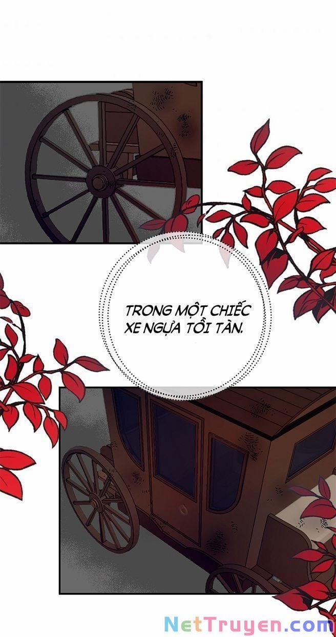 Ba Người Anh Trai Của Tôi Là Bạo Quân 5 trang 72