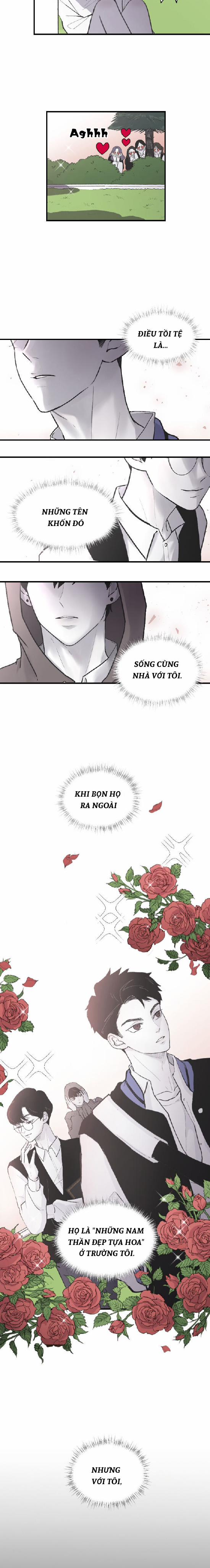 Ba Người Anh Trai 1 trang 14