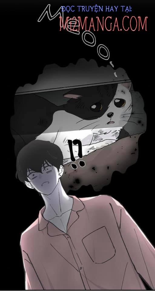 Ba Người Anh Trai 11.5 trang 4