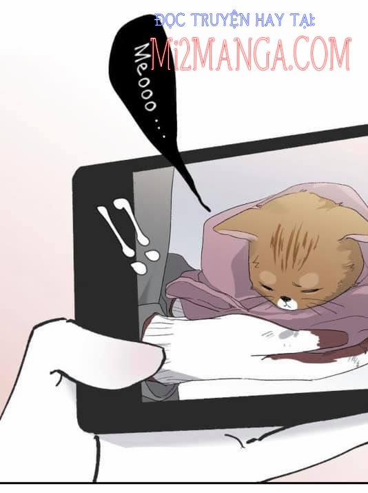 Ba Người Anh Trai 11 trang 29