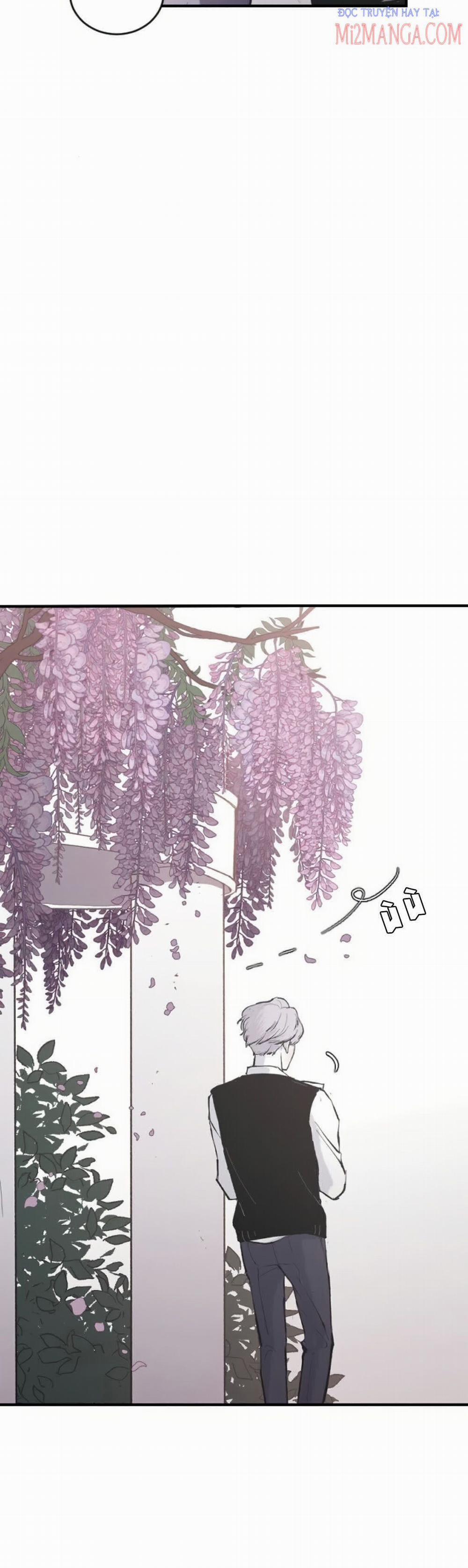 Ba Người Anh Trai 5.5 trang 5