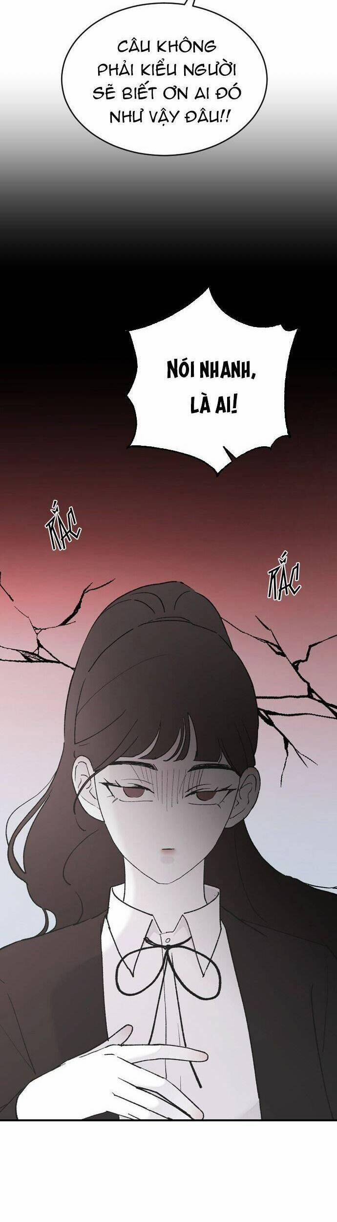 Ba Người Anh Trai 50 trang 29