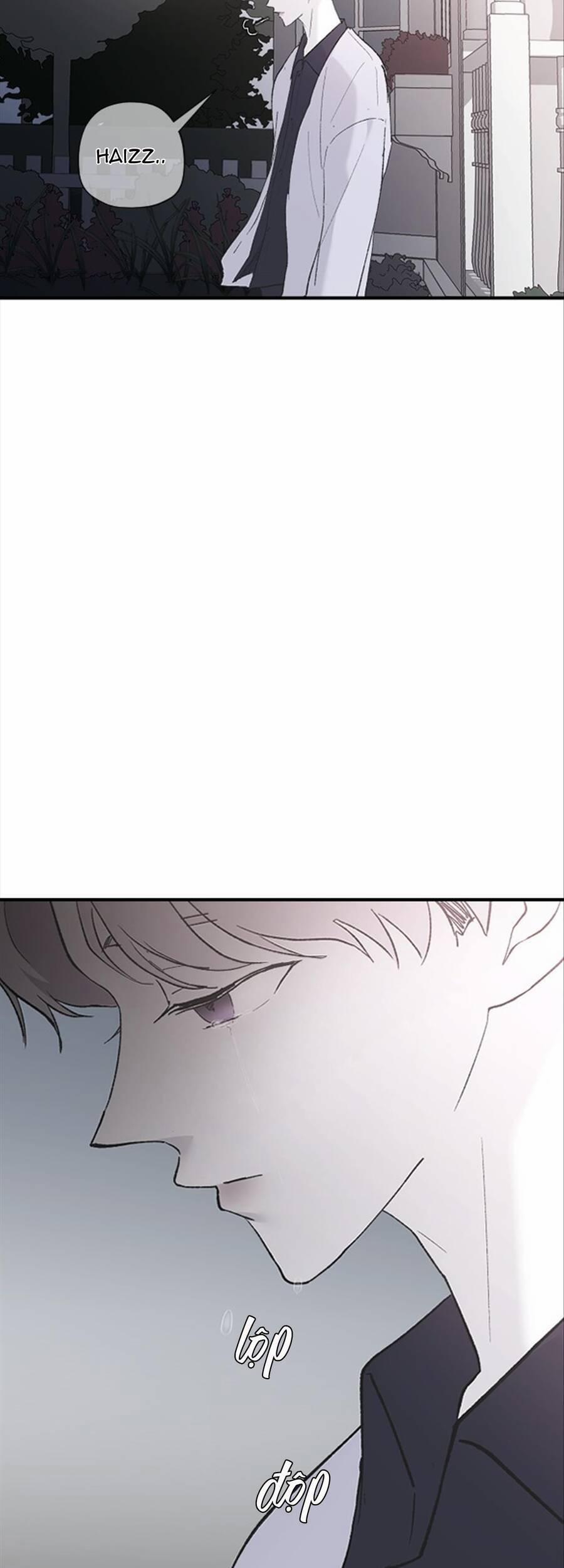 Ba Người Anh Trai 53 trang 5