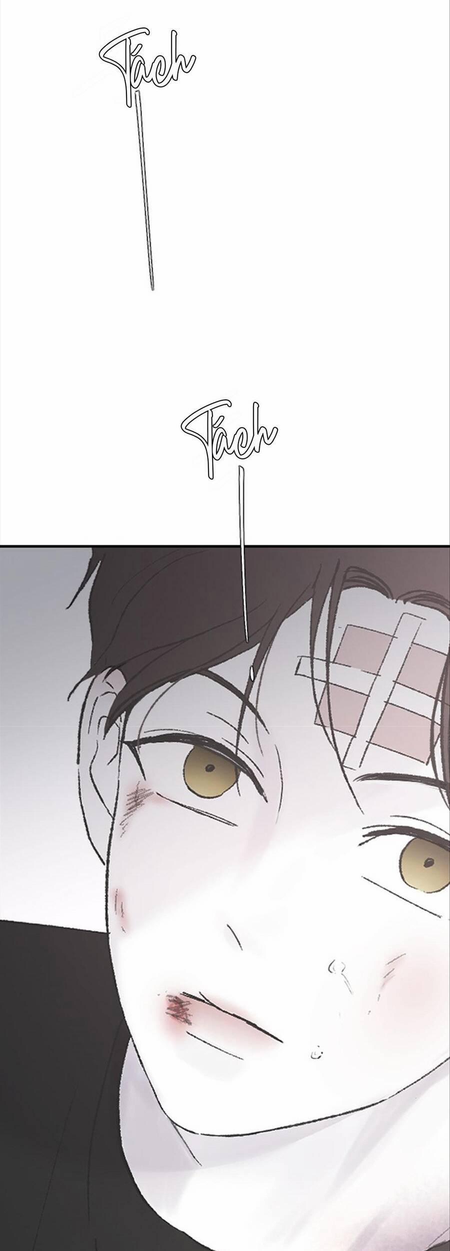 Ba Người Anh Trai 53 trang 76