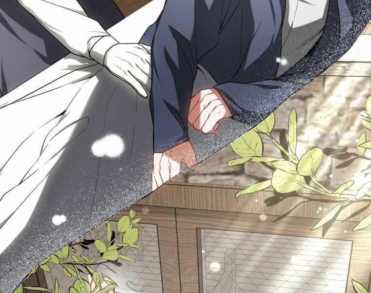 Bác Sĩ Phẫu Thuật Cấp Sss 16 trang 144