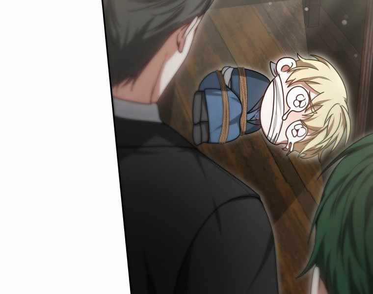 Bác Sĩ Phẫu Thuật Cấp Sss 19 trang 177