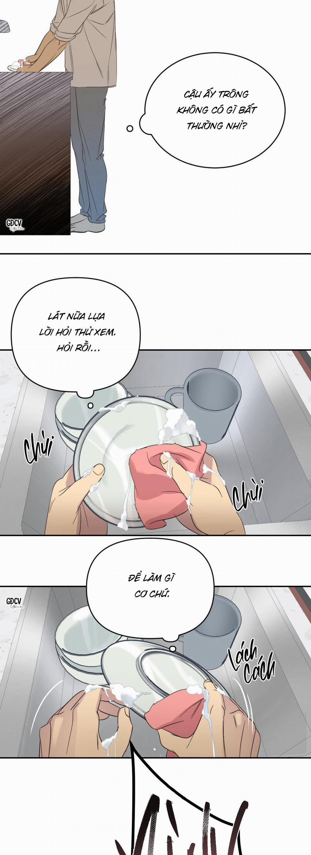 Backlight 10 trang 22