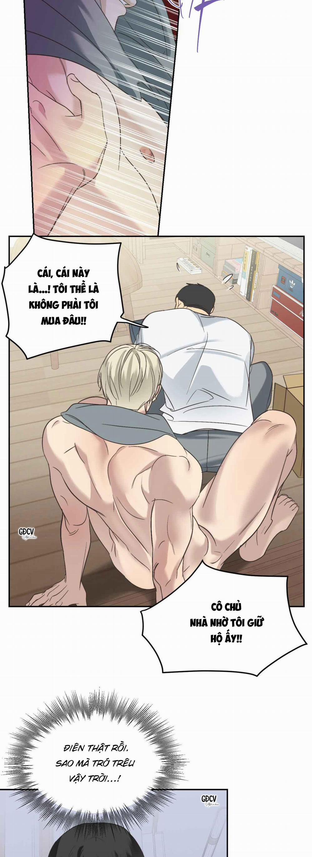 Backlight 10 trang 26