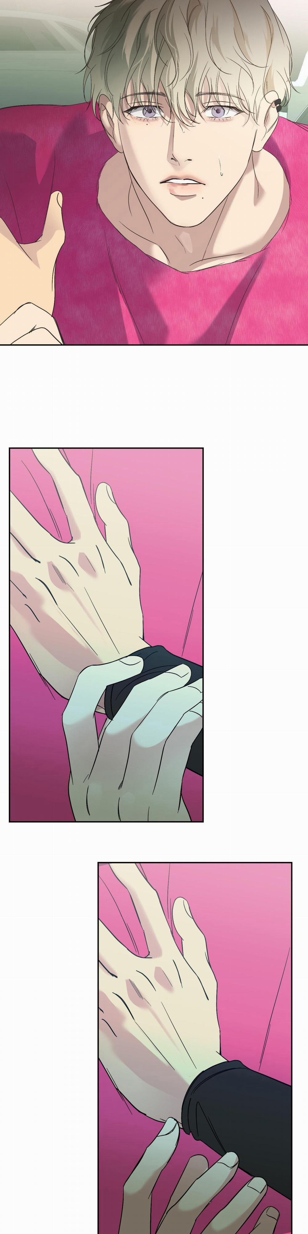 Backlight 21 trang 23