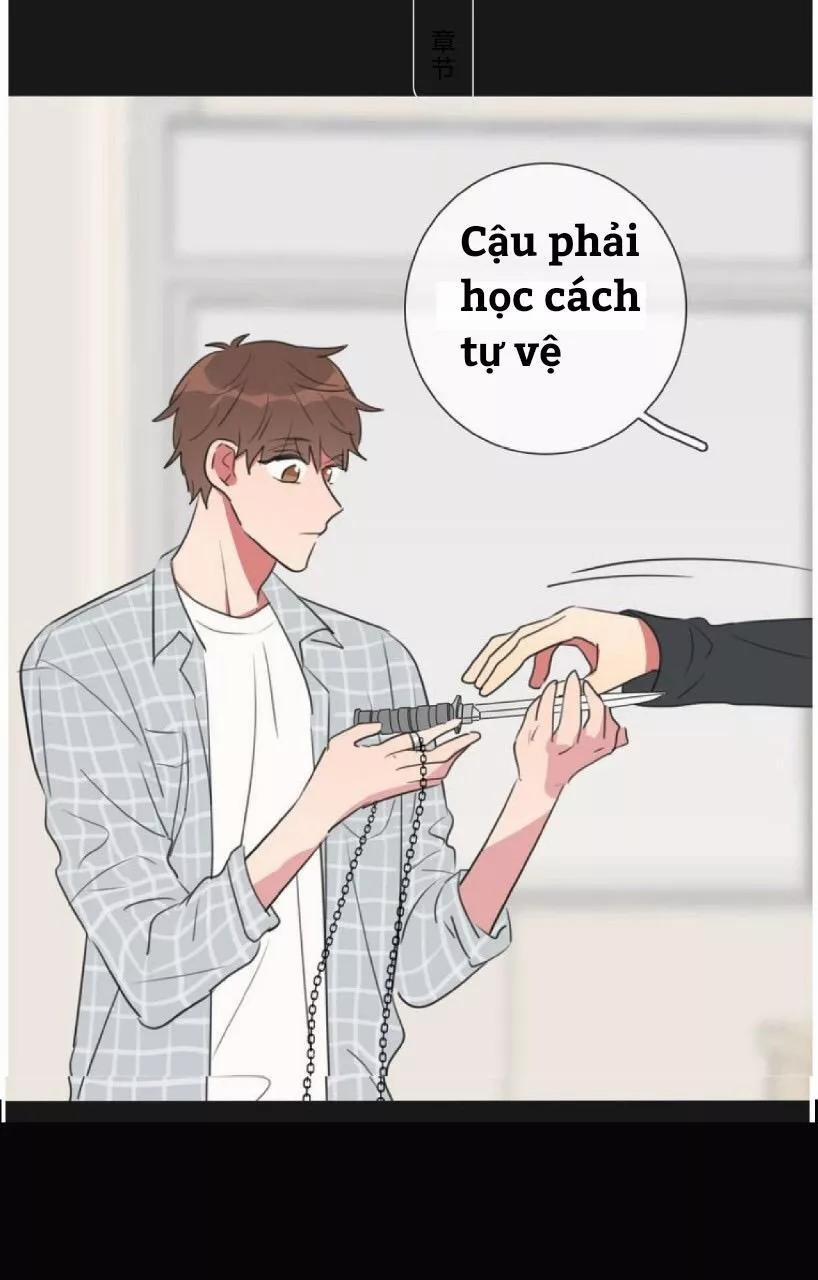 Bái Kiến Thất Cửu 10 trang 23