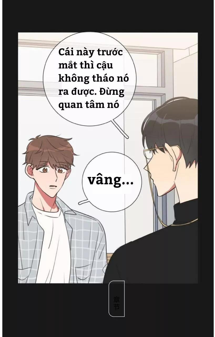 Bái Kiến Thất Cửu 10 trang 31