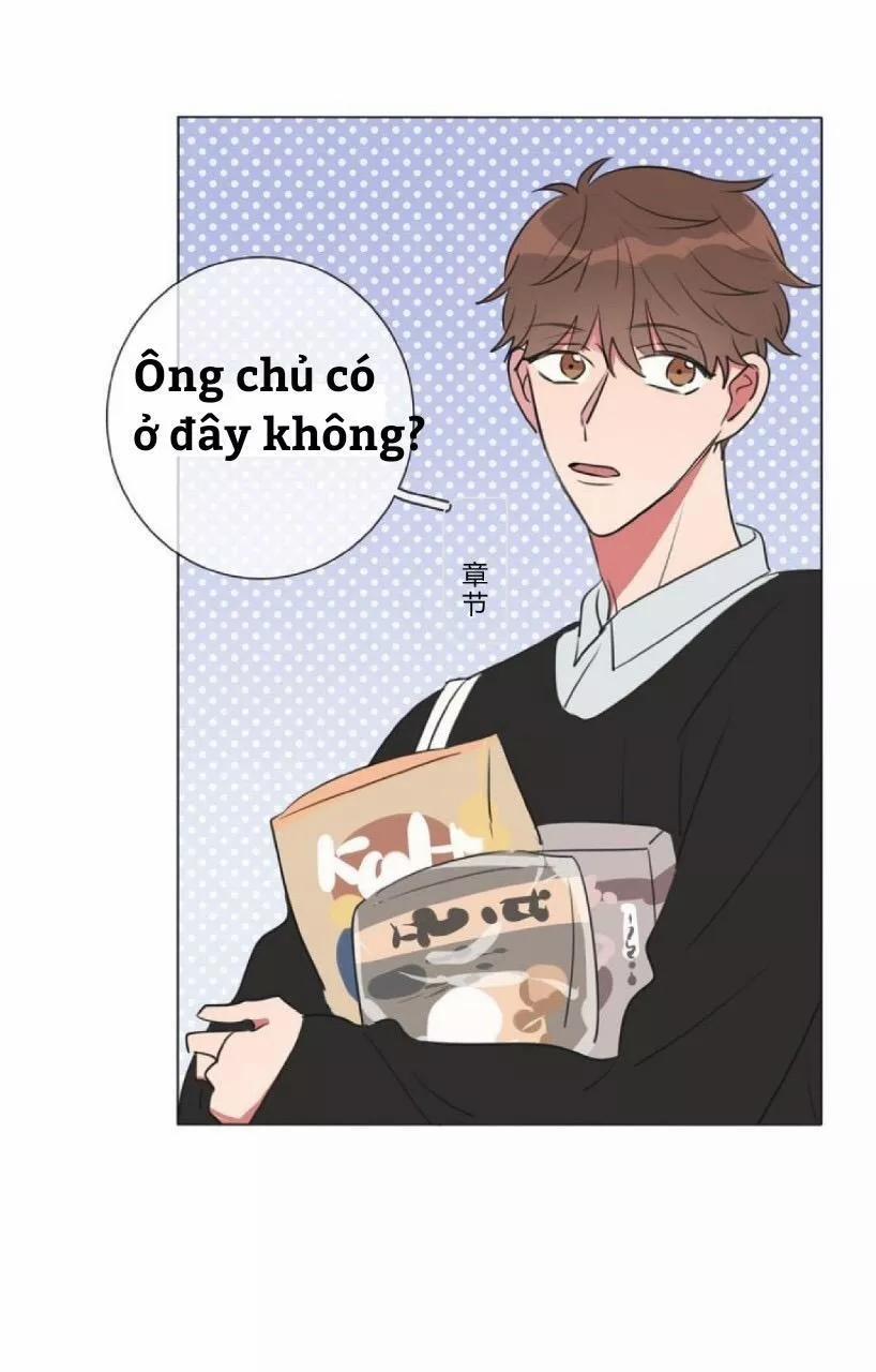 Bái Kiến Thất Cửu 10 trang 46