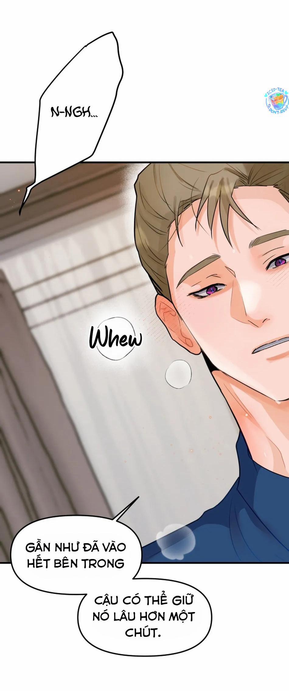 Bản Báo Cáo Bắt Giữ Tuyến Tiền Liệt 4 trang 20